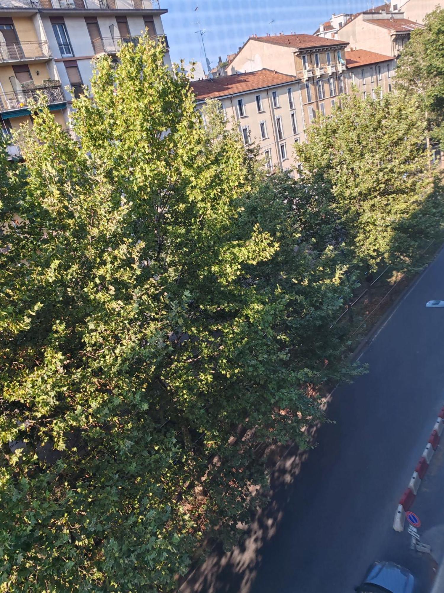 La Casa Di Cris - Milano, Appartamento Zona Sempione Exteriör bild